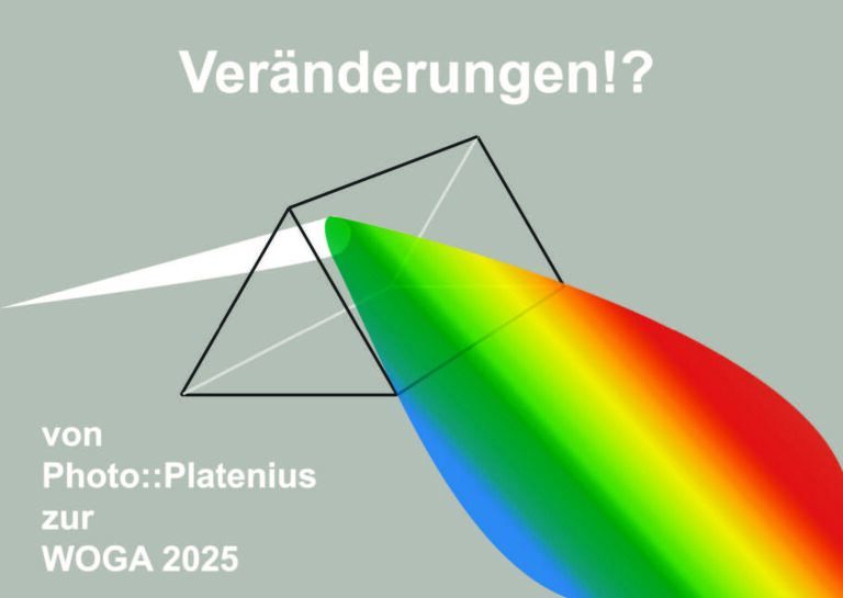 flyer woga 2025 photo::platenius